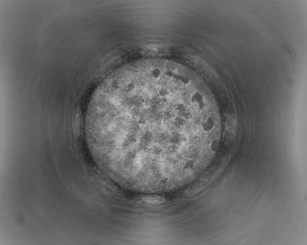X0000112760659200910011217
