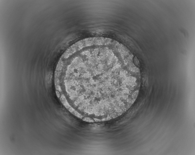 X0000112760660200910011217