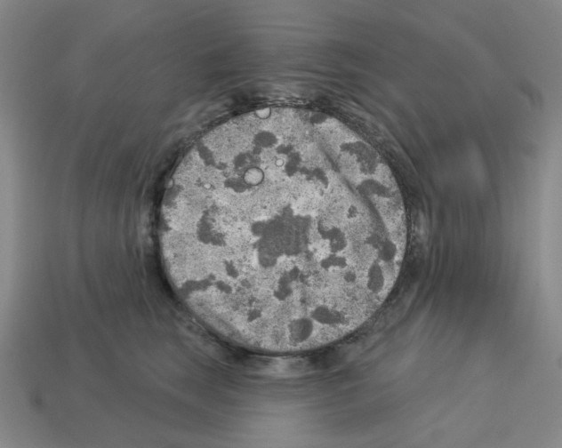 X0000112760663200910011217