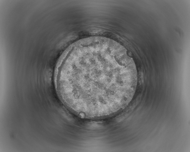 X0000112760664200910011217