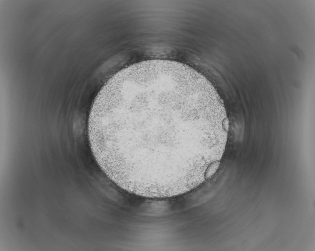 X0000112760665200910011217