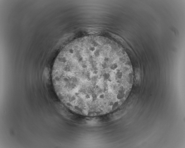 X0000112760667200910011217