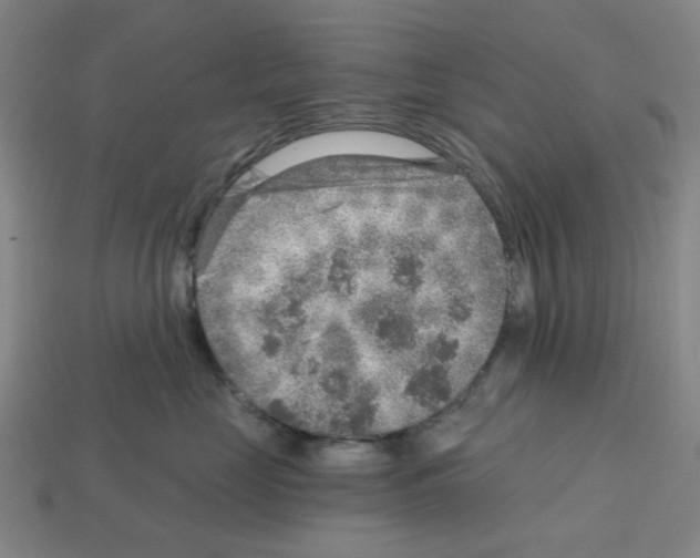 X0000112760669200910011217