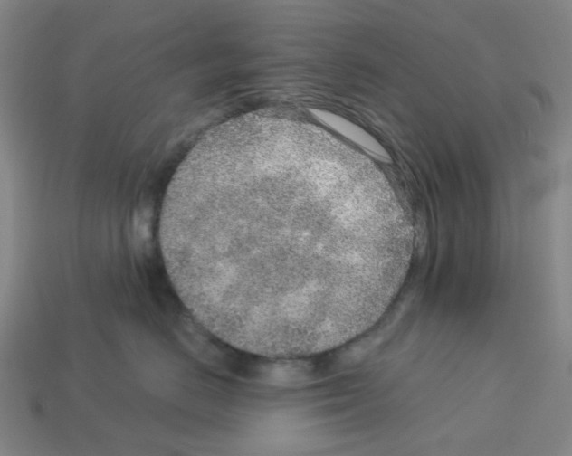 X0000112760670200910011217