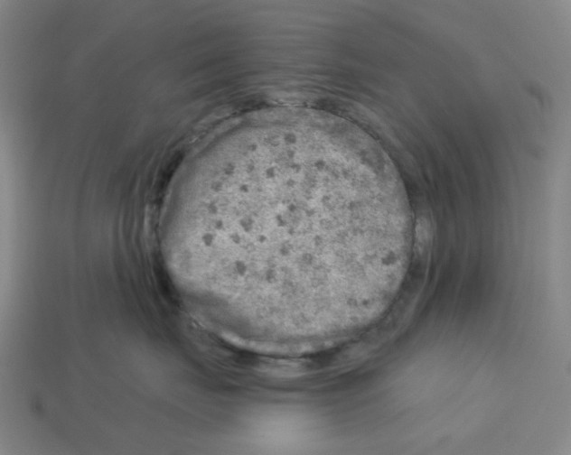 X0000112760671200910011217