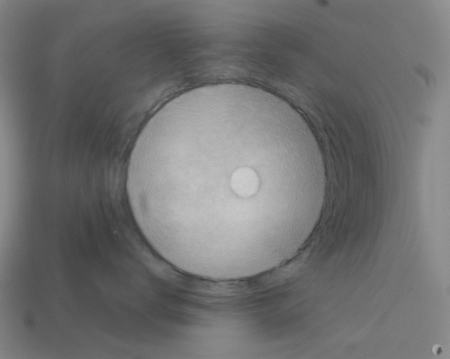 X0000112760672200910011217