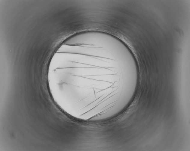 X0000112760673200910011216