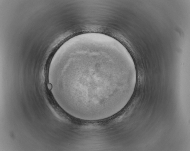 X0000112760674200910011216