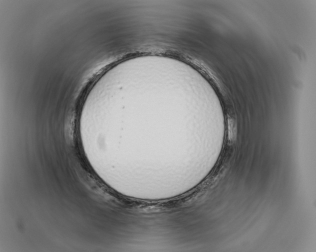 X0000112760675200910011216