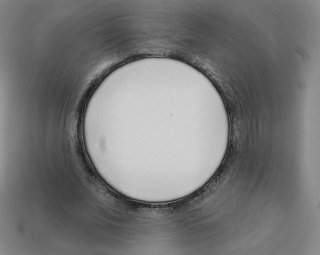 X0000112760679200910011216