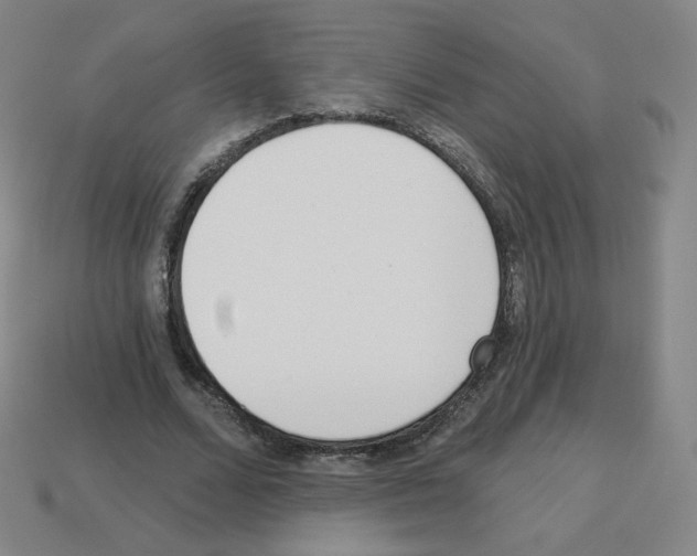 X0000112760680200910011216