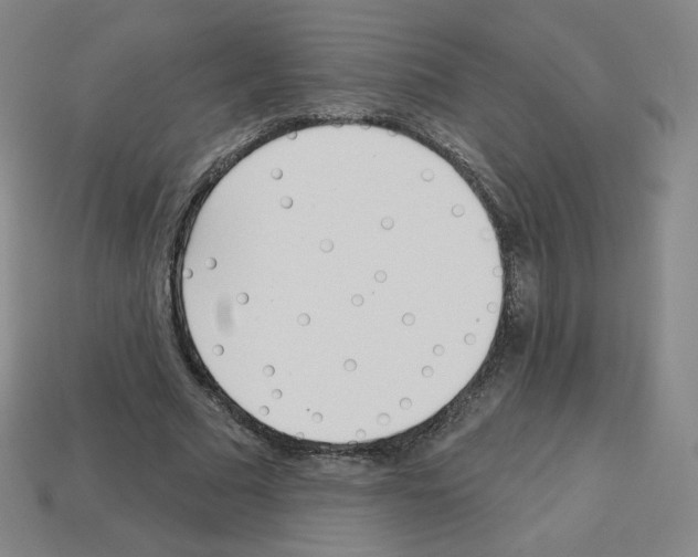 X0000112760681200910011216