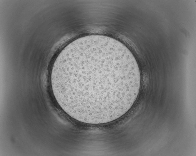 X0000112760682200910011216