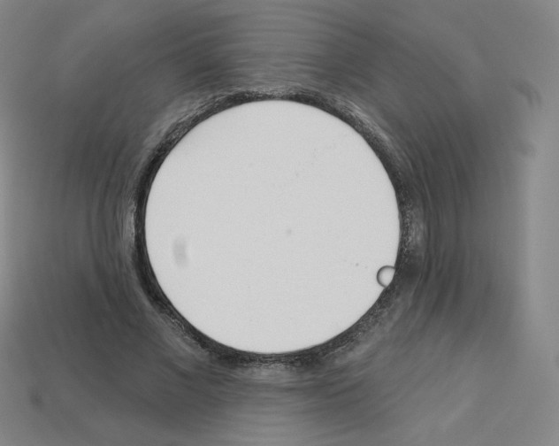 X0000112760685200910011216