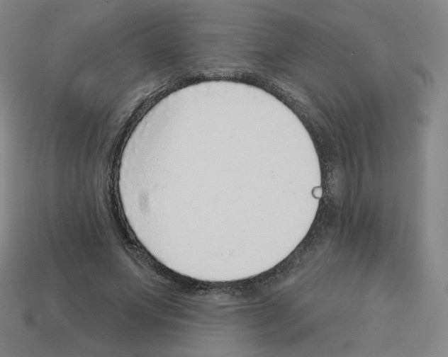 X0000112760687200910011216
