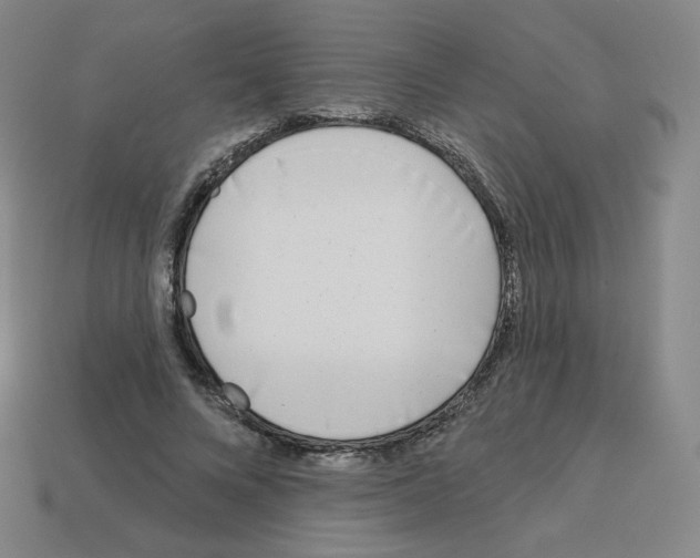 X0000112760688200910011216