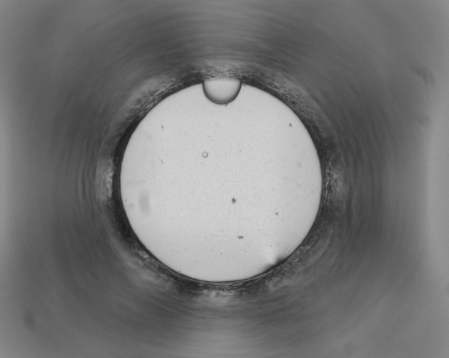 X0000112760694200910011216