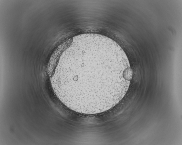 X0000112760695200910011216