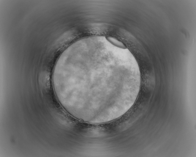 X0000112760696200910011216
