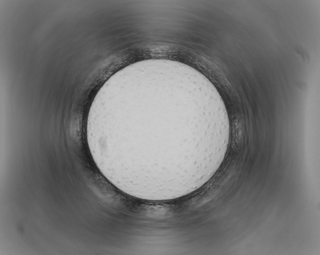 X0000112760698200910011216