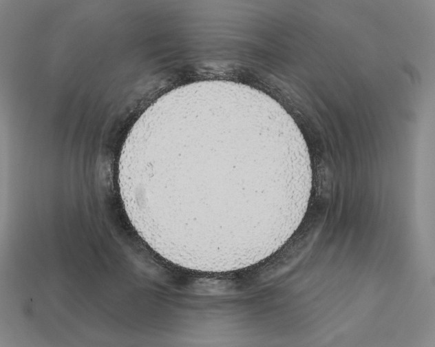 X0000112760699200910011216