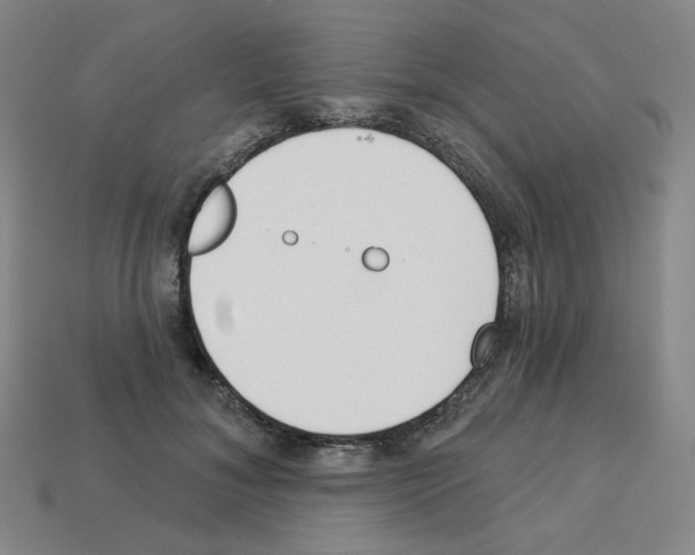 X0000112760700200910011216