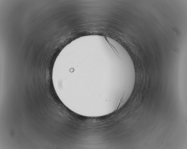 X0000112760704200910011216