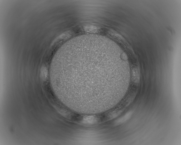 X0000112760705200910011216
