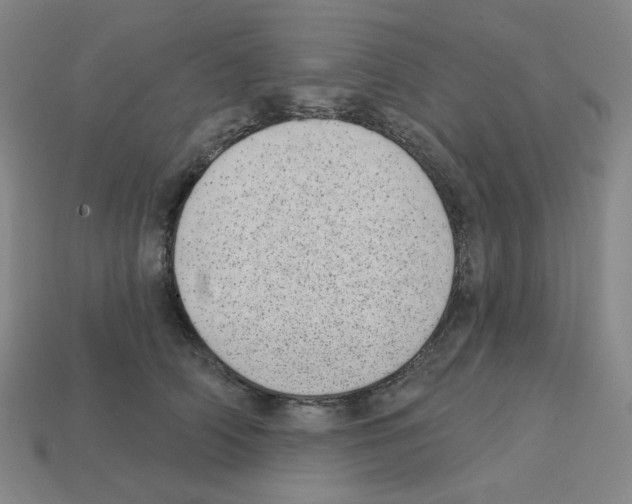 X0000112760706200910011216