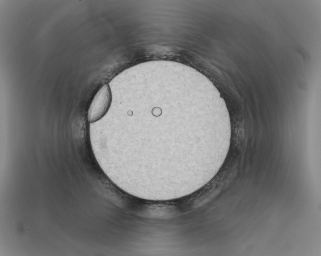 X0000112760708200910011216