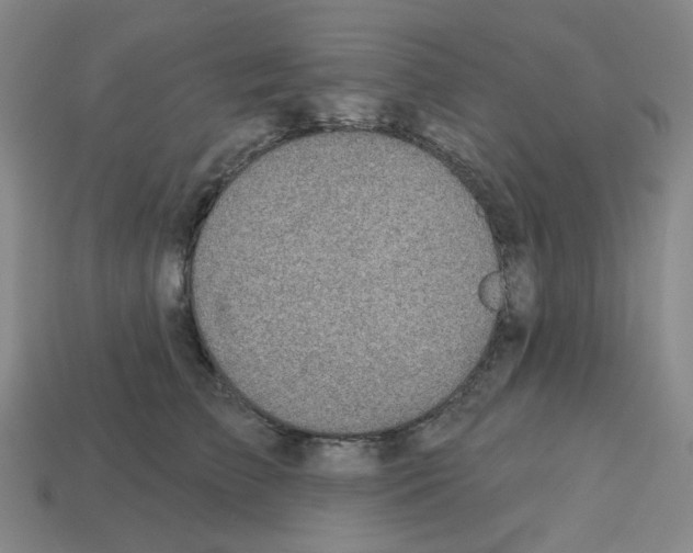 X0000112760709200910011216