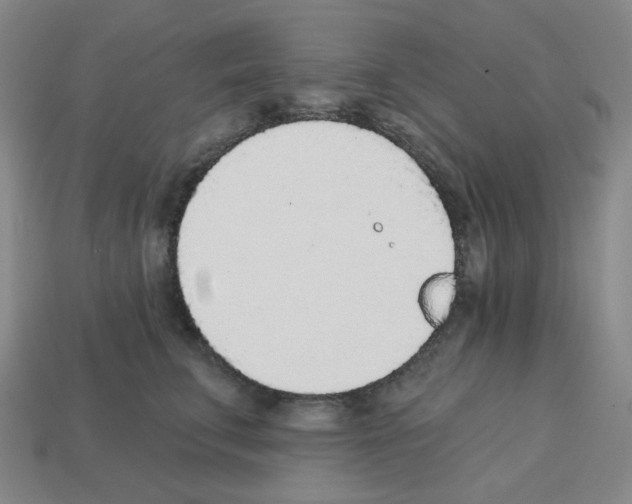 X0000112760711200910011216