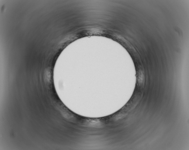 X0000112760715200910011216