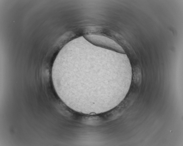 X0000112760716200910011216