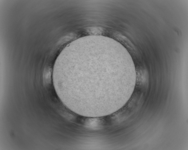 X0000112760717200910011215