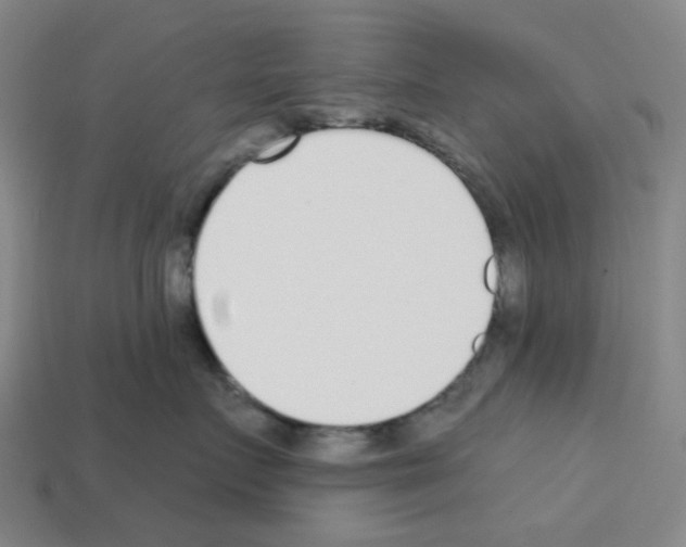 X0000112760719200910011215