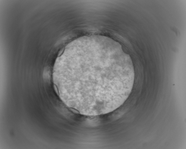 X0000112760720200910011215
