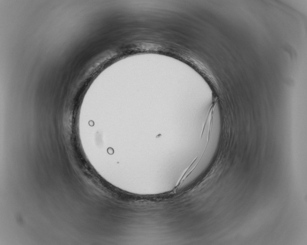 X0000112760722200910011215
