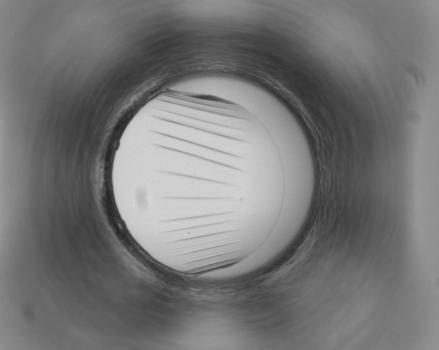 X0000112760725200910011215