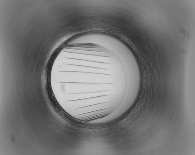 X0000112760726200910011215