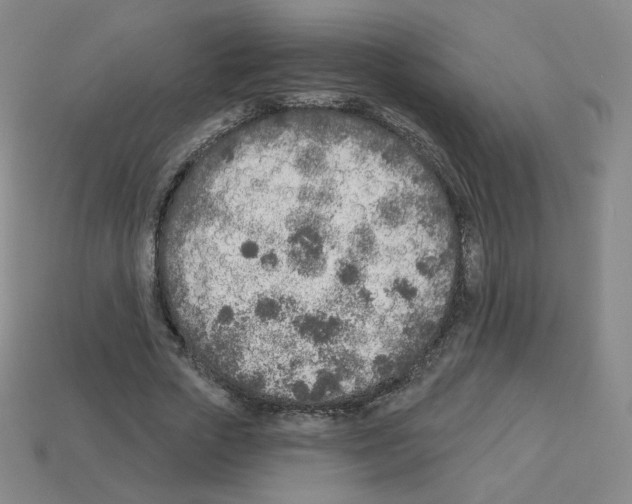X0000112760729200910011215