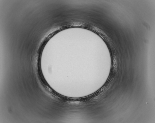 X0000112760730200910011215