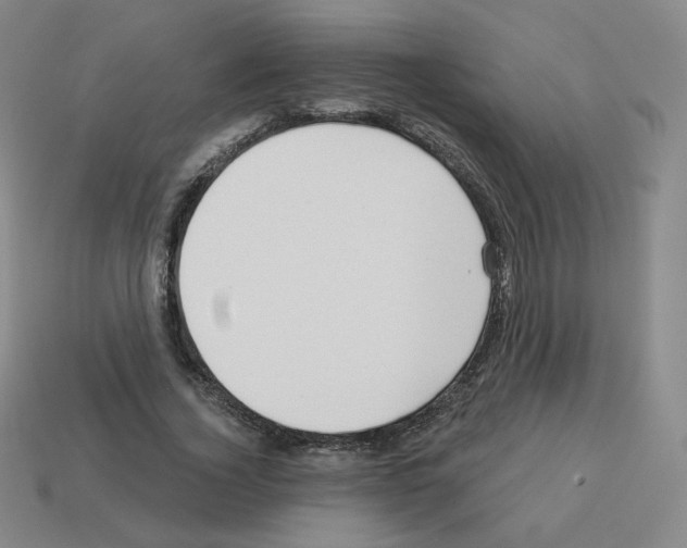 X0000112760732200910011215