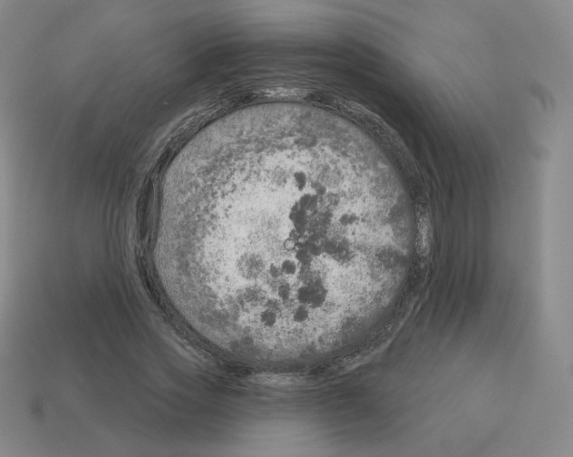 X0000112760733200910011215