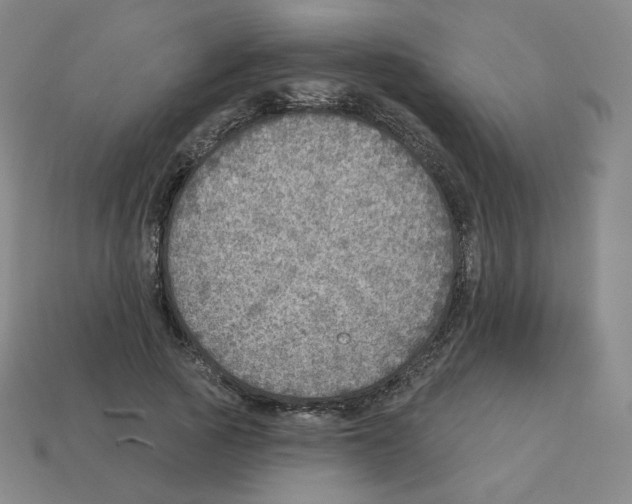 X0000112760737200910011215