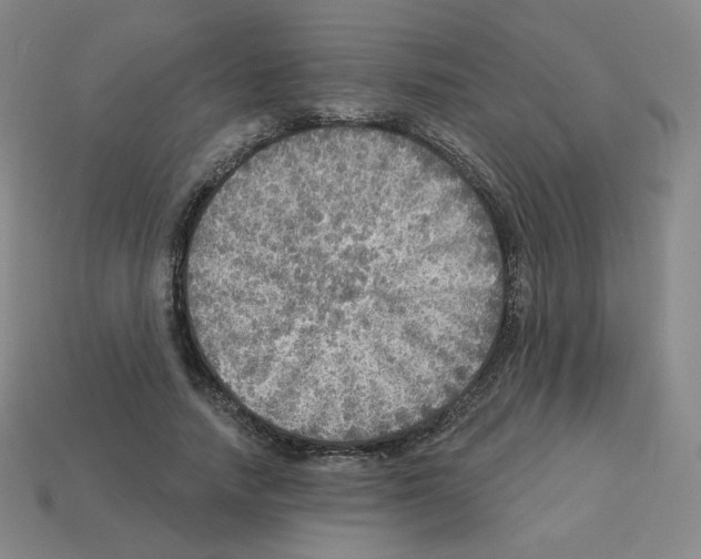 X0000112760738200910011215