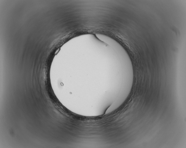 X0000112760740200910011215