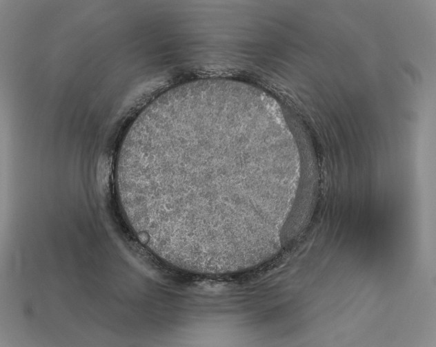 X0000112760742200910011215