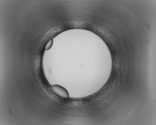 X0000112760744200910011215