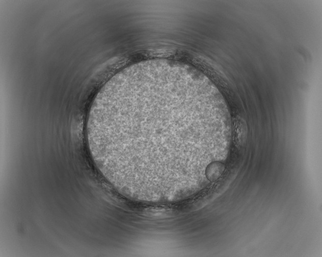 X0000112760745200910011215